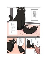 Truyện tranh Kuroneko No Ohanashi - TruyenQQ